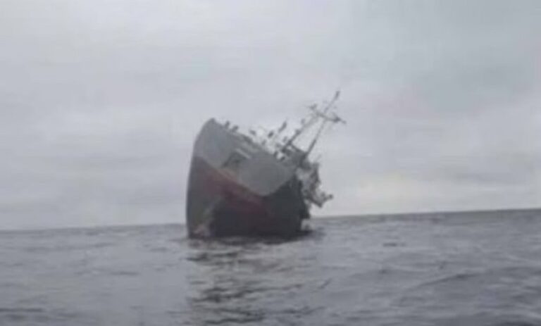 cargo vessel sink off ukraine