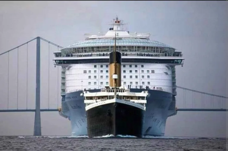 cruise ships evolved